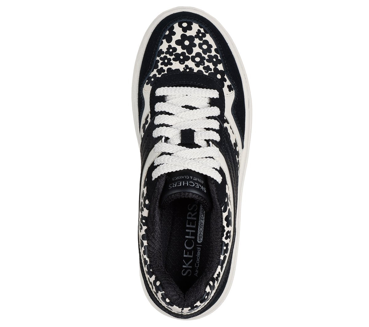 Paloma - Daring Daisy