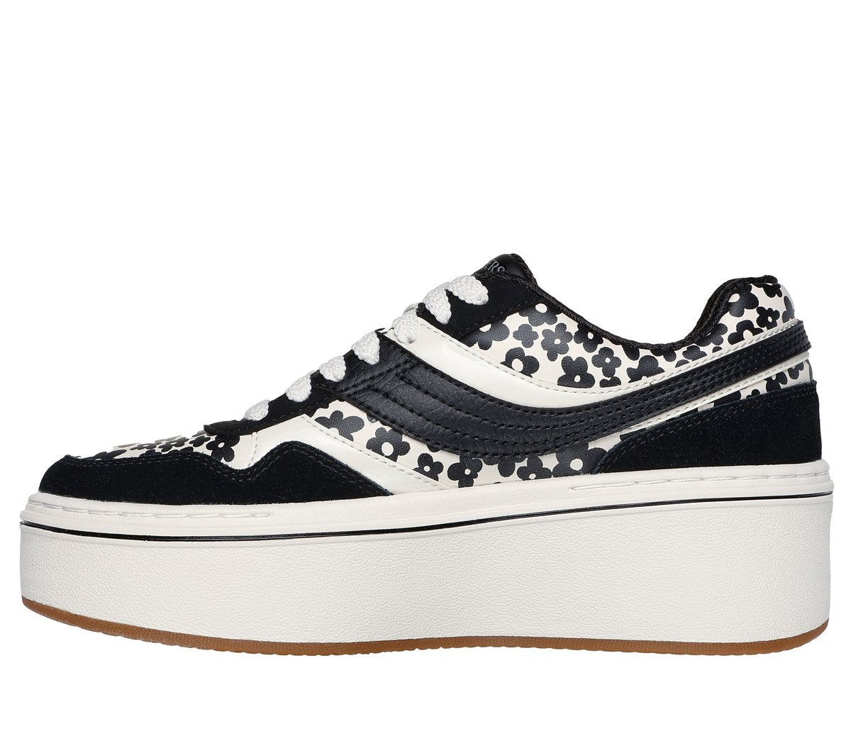 Paloma - Daring Daisy